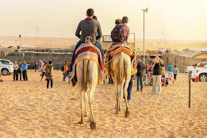 DuneBashing, CamelRide & ATV Bike Desert Safari Experince in Doha - Camel time at Sealine Beach