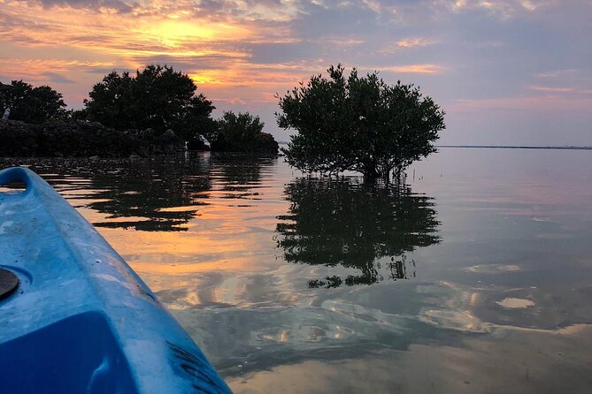 Eco Kayaking Adventure – Mangrove Exploration at Purple Island - Key points at a glance