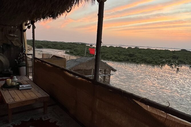 Eco Kayaking Adventure – Mangrove Exploration at Purple Island - Wildlife, birds, and the quiet side of Qatar