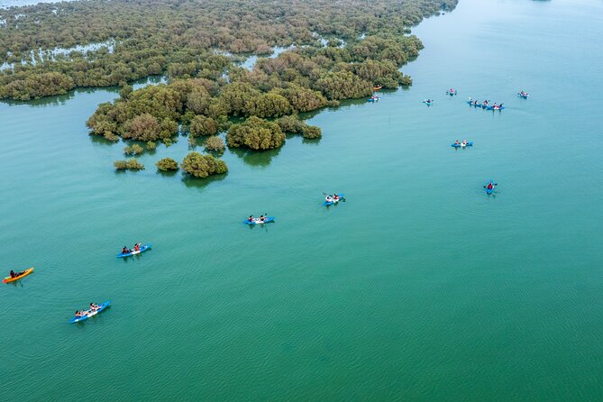 Eco Kayaking Adventure – Mangrove Exploration at Purple Island - Purple Island and the story behind Qatar’s flag