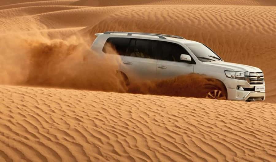 Explore desert Qatar: Off-Road Adventures, dune bashing Tour - Key points to know before you book