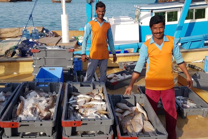 Explore North of Qatar: Visit Zubarah Fort and Fishing Town of Al Khor - Who will get the most from this outing