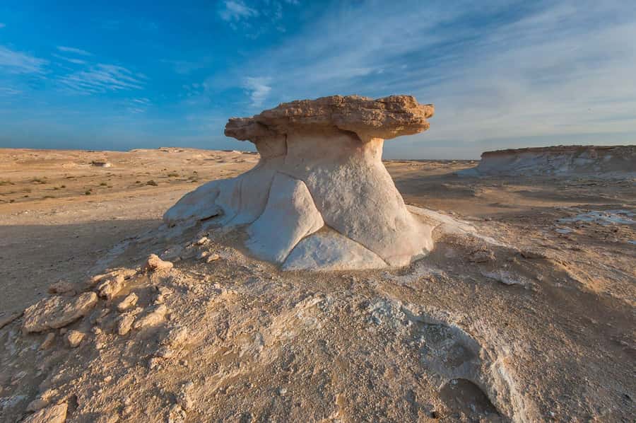 Explore West Qatar and Sheehaniya Camel racetrack visit. - Al Shahaniya Camel Racetrack and the sport of the sheikhs