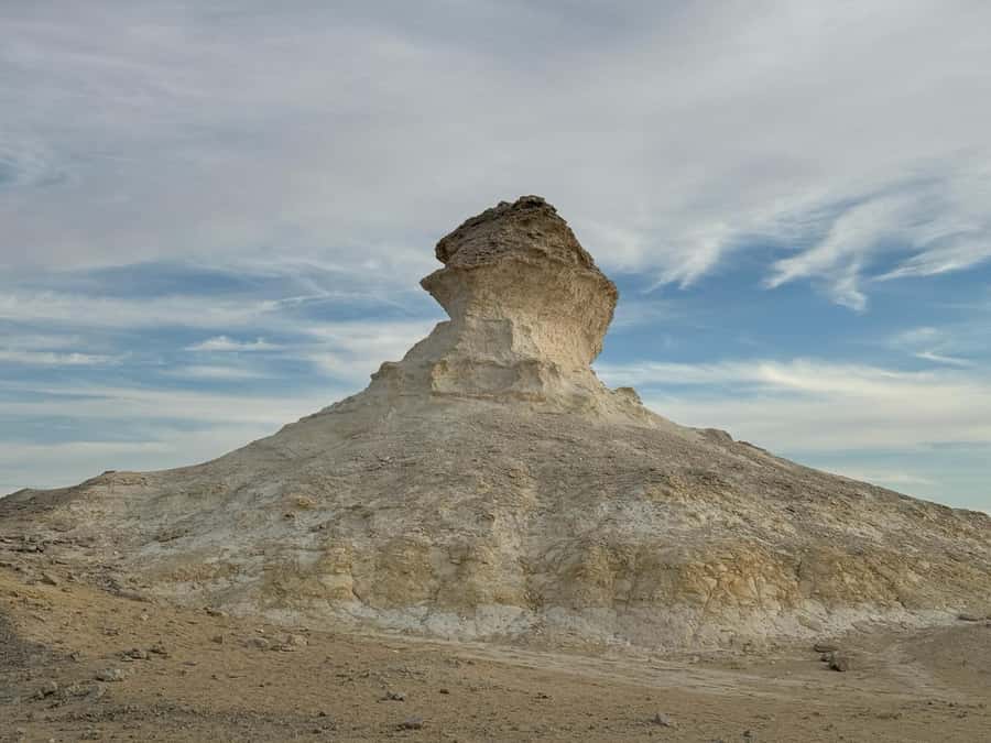 Explore West Qatar and Sheehaniya Camel racetrack visit. - The private 4x4 makes the route easier