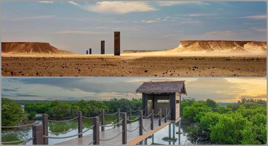 From Doha: Culture & History Qatar Tour to the North & West - Key points at a glance