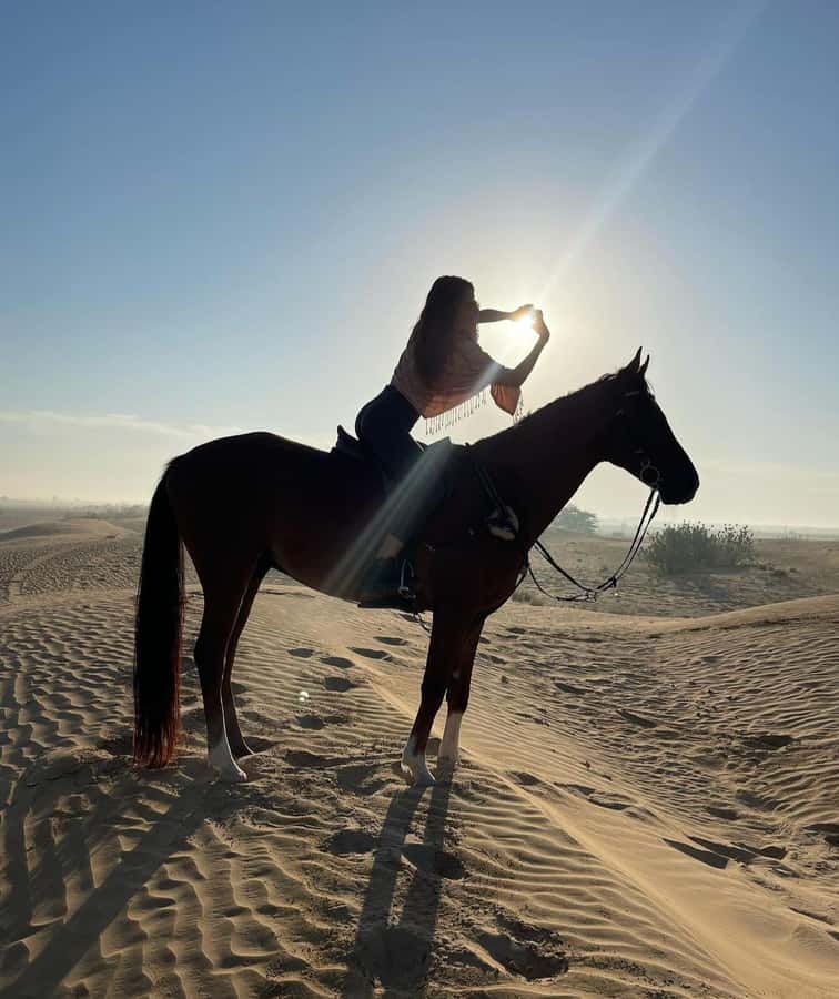 From Doha: Experience Horse Riding In Qatar Desert - Key points at a glance