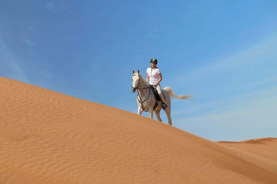 From Doha: Experience Horse Riding In Qatar Desert - Meeting the horses and learning the basics