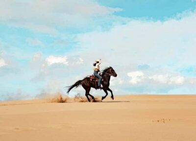 Experience Horse Riding In Qatar Desert