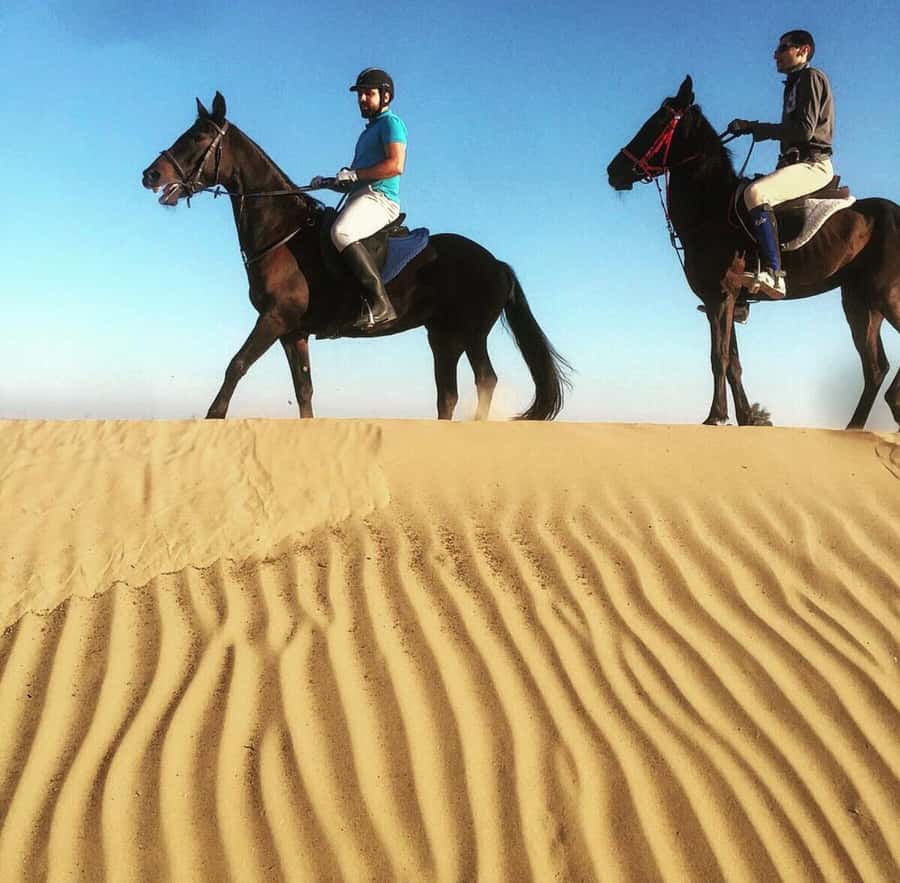 From Doha: Experience Horse Riding In Qatar Desert - Morning light or late afternoon color?