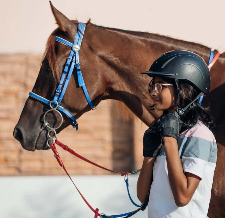 From Doha: Experience Horse Riding In Qatar Desert - Who should book this desert ride?