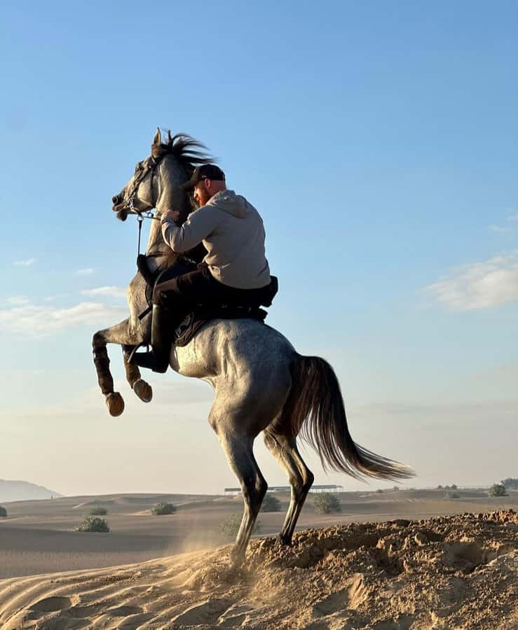 From Doha: Experience Horse Riding In Qatar Desert - Practical details before you go
