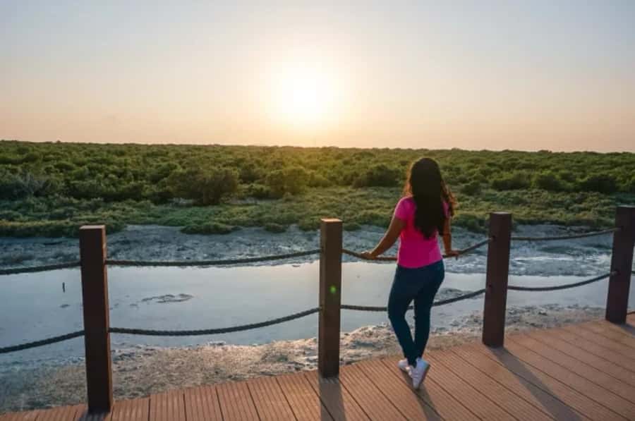 From Doha: Full-Day Tour to Qatar North and West - Is $69 a fair price?