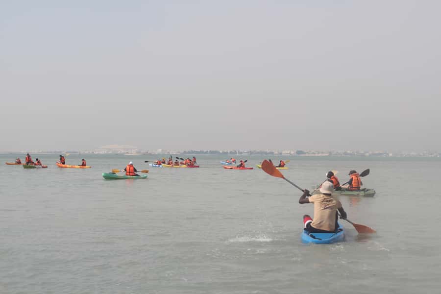 From Doha: Mangroves Kayaking Adventure - Key points to know before you book