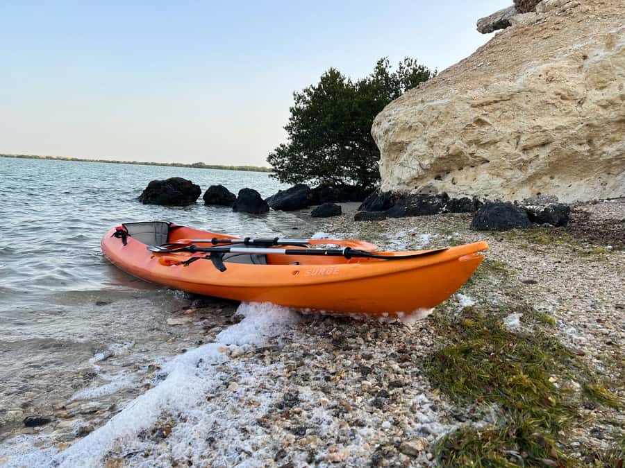 From Doha: Mangroves Kayaking Adventure - Paddling through the mangrove channels