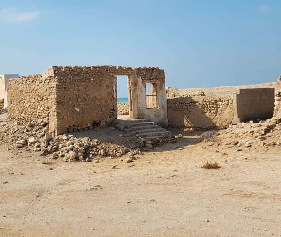 From Doha: Northern Qatar Guided Tour - Key points at a glance