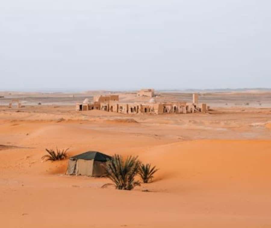 From Doha: Northern Qatar Guided Tour - Forts that explain northern Qatar