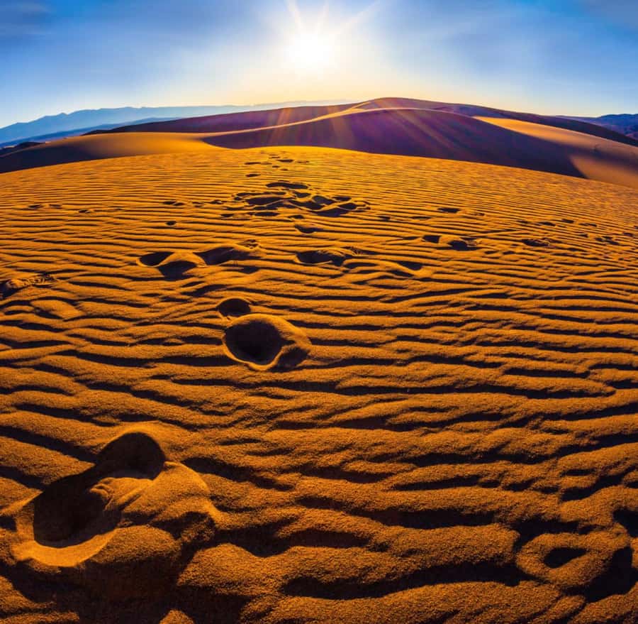 From Doha: Sunrise or Sunset Safari with Sand Boarding - Key points to know before you go