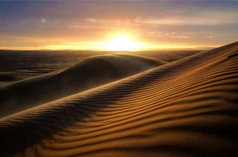From Doha: Sunrise or Sunset Safari with Sand Boarding - The camel camp and first desert stop