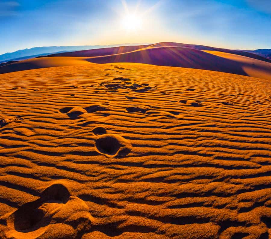 From Doha: Sunrise or Sunset Safari with Sand Boarding - Dune bashing: exciting, but not for everyone