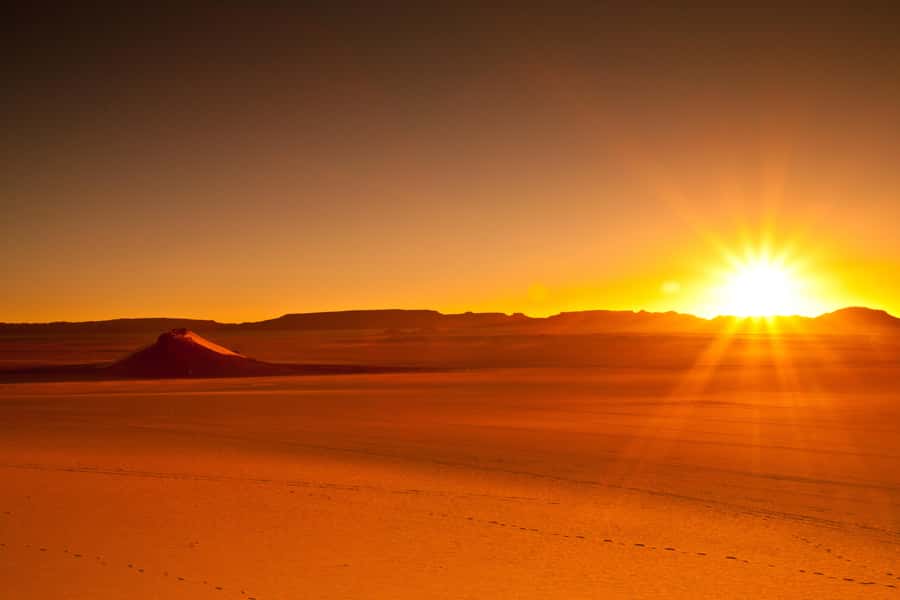 From Doha: Sunrise or Sunset Safari with Sand Boarding - Price, comfort, and what you actually receive
