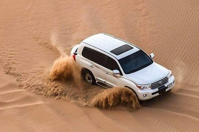 Full Day Desert Safari with Camp Access, Buffet Dinner,Camel Ride - Camel culture and the beachside camp