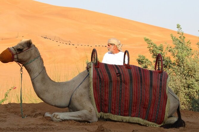 Full Day Desert Safari with Camp Access, Buffet Dinner,Camel Ride - What the six to eight hours feel like