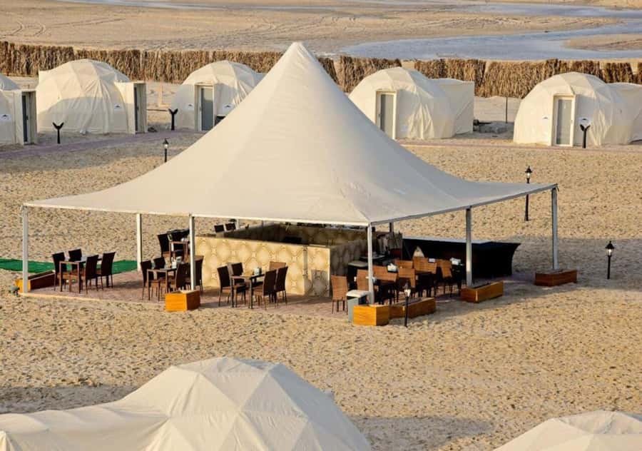 Full day desert safari with lunch or Dinner - Why this safari is worth considering
