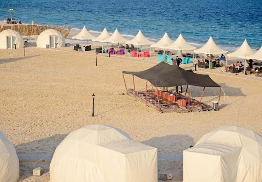 Full day desert safari with lunch or Dinner - Sealine Beach: camel ride and first desert views