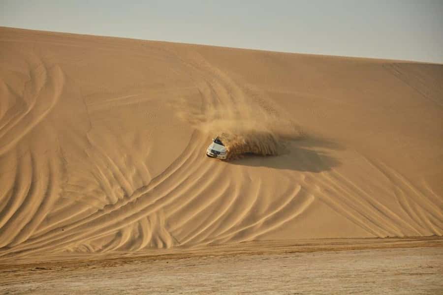 Full day desert safari with lunch or Dinner - What the $151 price really covers