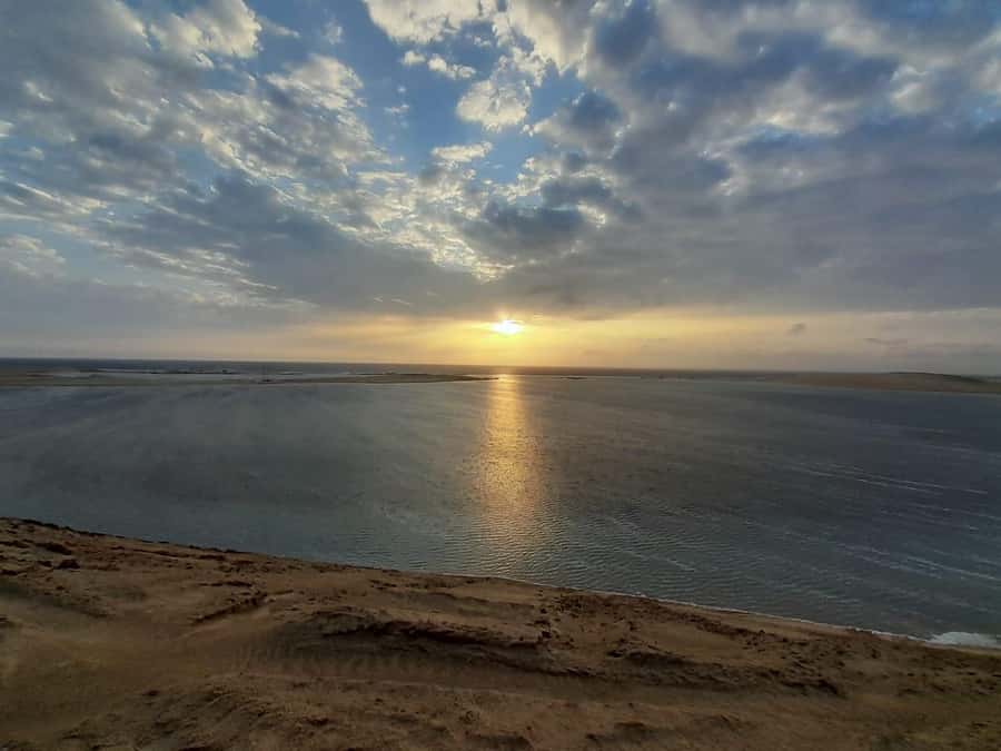 Full day desert safari with lunch or Dinner - Who should book this desert day