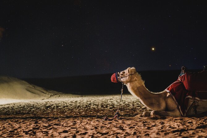 Full Day Qatar North and Desert Safari with pickup - The guide can shape the whole day