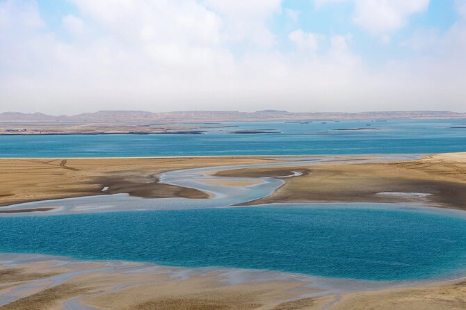 Full Day Qatar North and Desert Safari with pickup - Al Thakira, where Qatar’s dry coast turns green