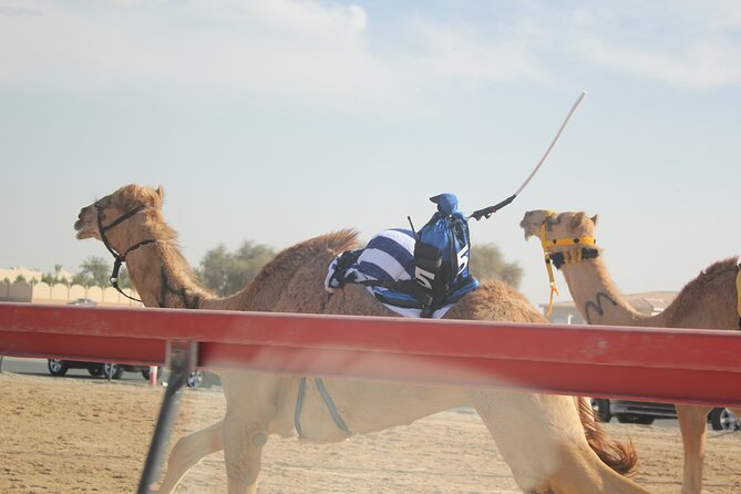Full-Day Tour Qatar North And West - Al Jumail and the feel of an abandoned village