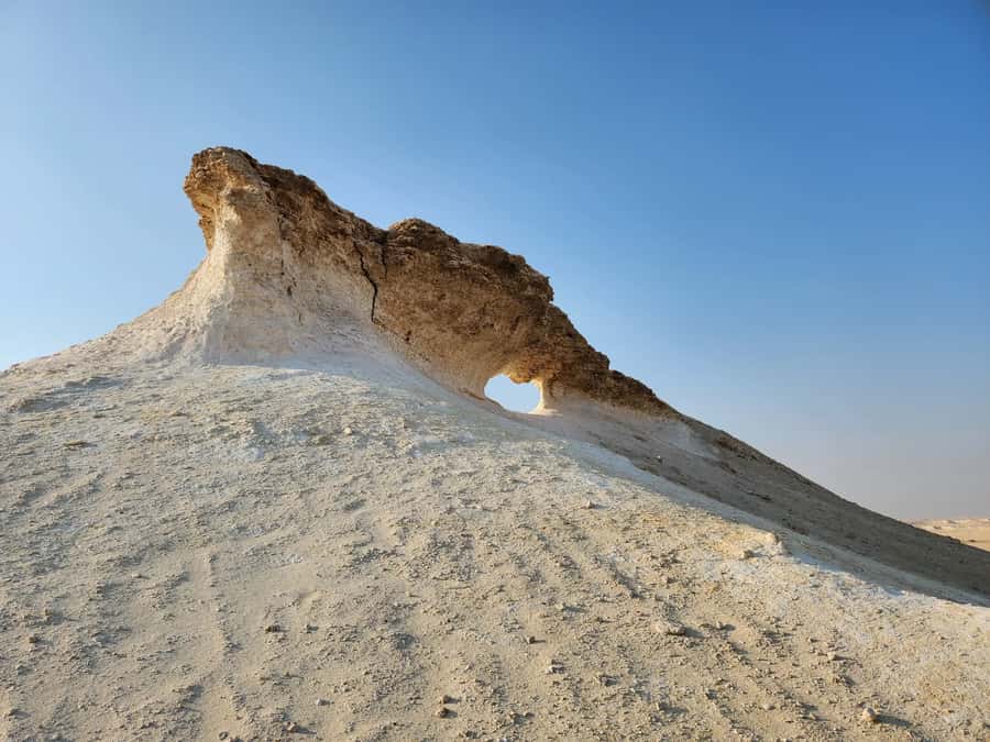 Full Day Tour to Qatar North and West / History and Heritage - Purple Island and the Al Thakira mangroves