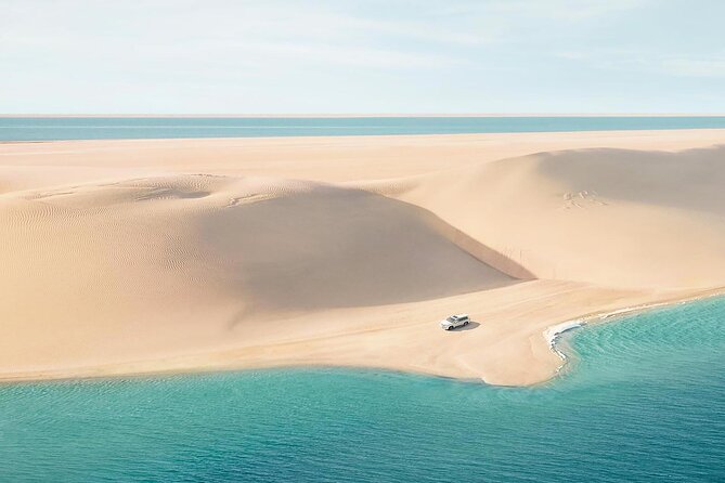 Half Day Desert Safari and Inland Sea - A short camel ride for photographs