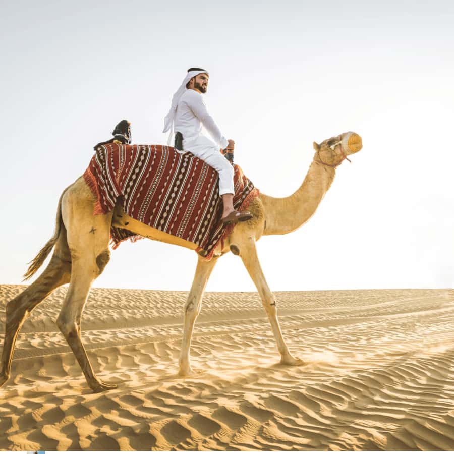 Half-Day Desert Safari For Cruise Ships Passngers. - Tea and camels at the desert camp