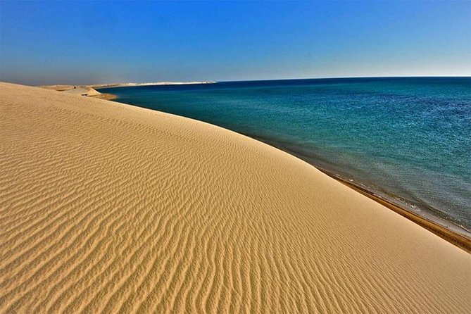 Half Day Desert Safari || Sand Boarding || Camel Ride || Inland Sea Visit || - Guides make the difference