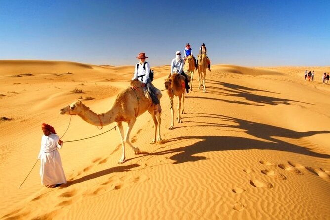 Half Day Desert Safari with Sand Boarding and Camel Ride - What the $59 price really covers
