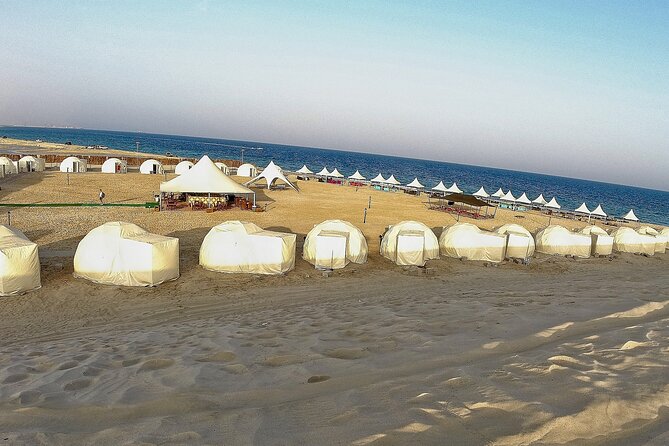 Half Day Desert Tour with Camel Ride - Key points at a glance