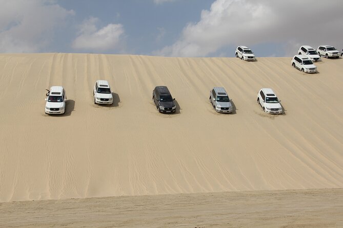 Half Day Desert Tour with Camel Ride - A one-hour camel ride at a slower pace