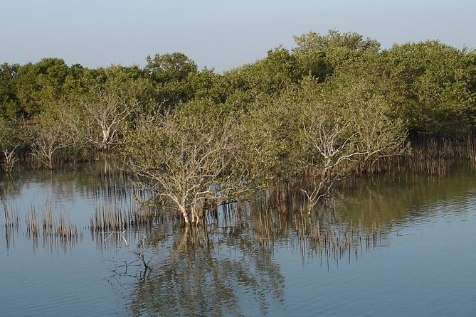Half-Day North Qatar Tour - Who will enjoy this North Qatar outing