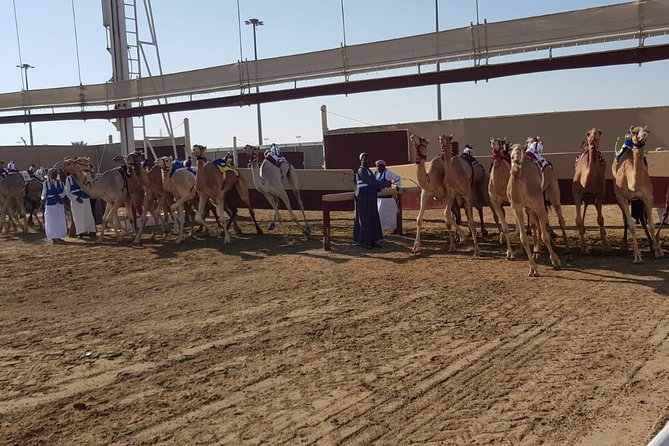 Half-Day Private Guided Camel Race Tour in Qatar - Arriving at Al Shahaniya Racetrack