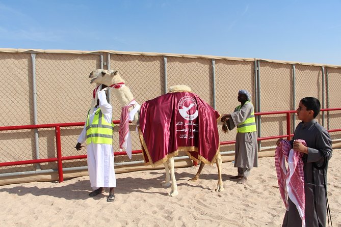 Half-Day Private Guided Camel Race Tour in Qatar - Is $133.34 per person fair value?