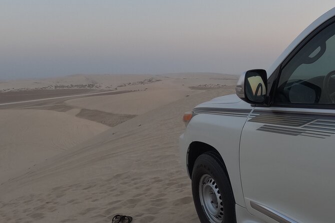 Half Day Safari Tour With Camel Ride and Sand Boarding in Doha - What the private format changes