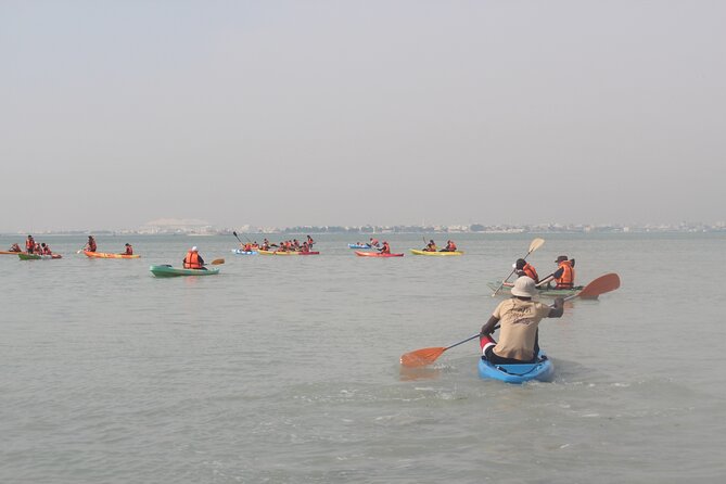 Mangrove Kayaking Purple Island Adventure - The Main Weakness: Communication