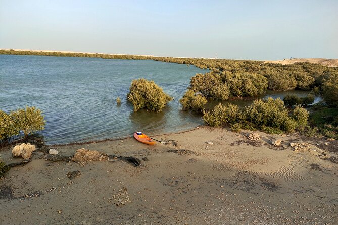 Mangrove Kayaking Purple Island Adventure - Who Will Enjoy This Most
