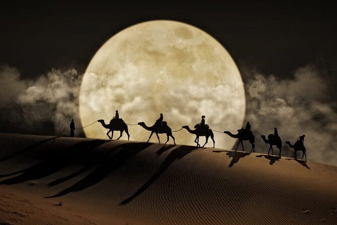 Night Desert Safari, Stargazing, Dune Driving & Inland Sea Visit - Leaving Doha for Qatar’s open desert