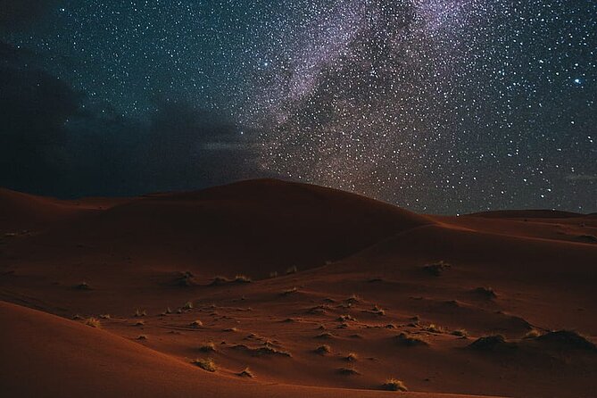 Night Desert Safari, Stargazing, Dune Driving & Inland Sea Visit - Practical advice for choosing day or night