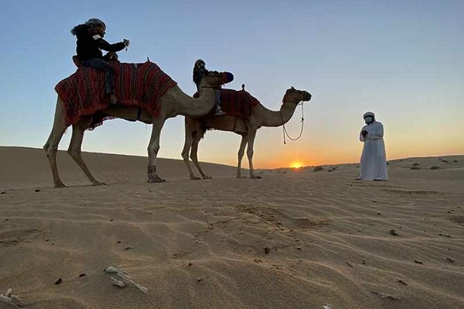 No Rush Desert Safari: 6-Hour Adventure & Inland Sea Relaxation - Sandboarding on Qatar’s open dunes
