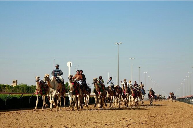 North and West of Qatar Full Day Private Tour - Al Jumail and the long turn toward western Qatar